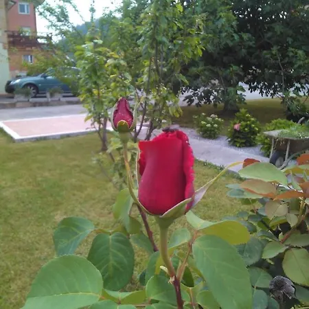 Higueras -casa Con Jardin-