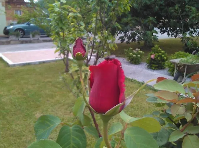 Higueras -casa Con Jardin-